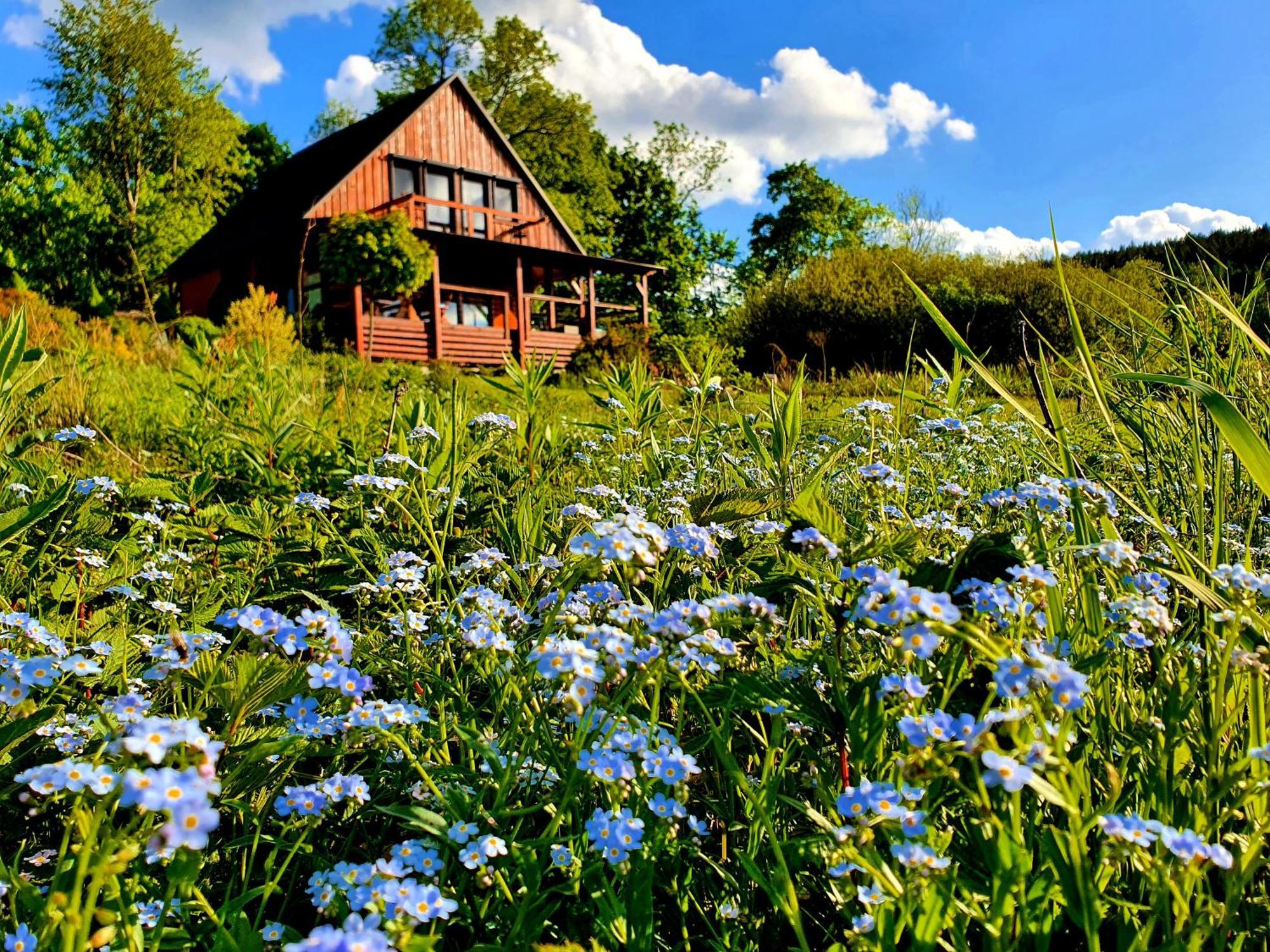 Piaskowy Kon - Mountain Lodge & Spa- Karkonosze Mniszkow  Eksteriør billede
